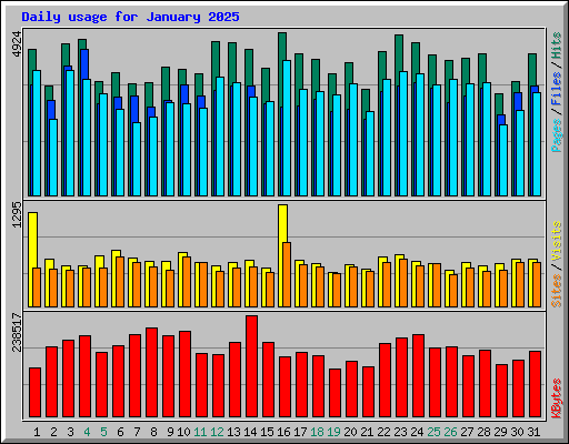 Daily usage for January 2025