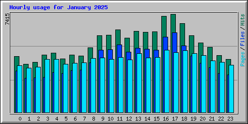 Hourly usage for January 2025