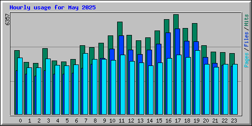 Hourly usage for May 2025